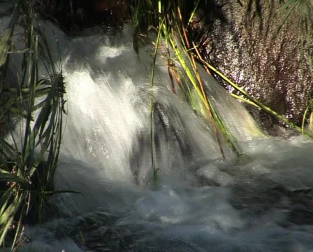 Stream flow Video stock 558090