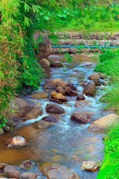 Stream flow Stock Photos