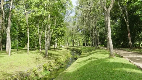 Stream Flow through Lush Green Park Landscape on Sunny Day Stock-Footage 334815657