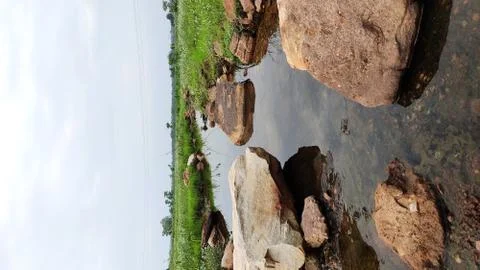 Stream Flow Through Stone In Monsoon Natural Beauty Stock Photos