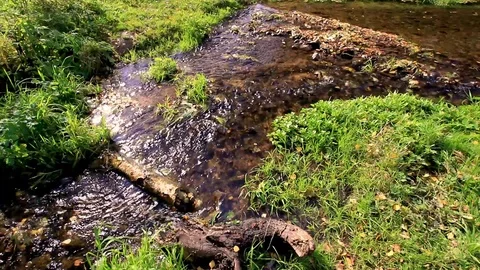 A stream flowing among grass and a log in it. Stock Footage 118525467