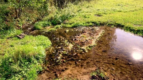 A stream flowing among grass and a log in it. Stock Footage 118525485