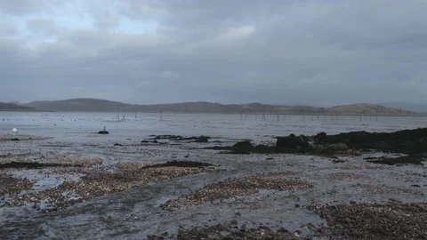 Stream flowing into Balcary Bay, with salmon fishing nets in the background Stock Footage 169504615
