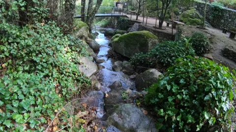 A stream flowing beneath a bridge surrounded by trees. Vídeos de archivo 249464692