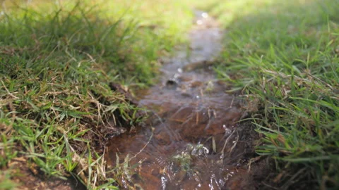 Stream flowing between the grasses to irrigate the plantations, in Ethiopia Stock Footage 230561647