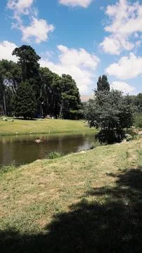 Stream flowing between greenery, blue sky with clouds Stock Photos