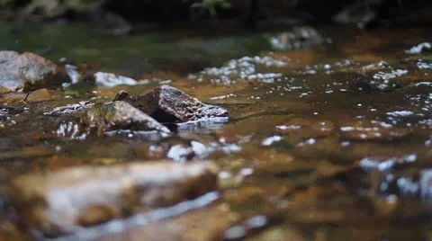 Stream flowing between rocks with authentic sound Stock Footage 52720164