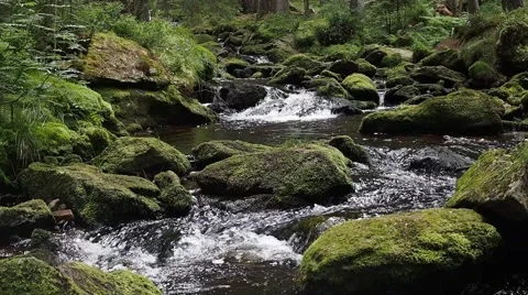 Stream flowing between rocks with authentic sound Stock Footage 52722327