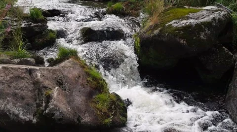 Stream flowing between rocks with authentic sound Stock Footage 52723097
