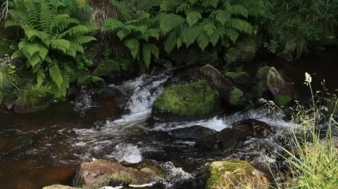 Stream flowing between rocks with authentic sound Stock Footage 52723379