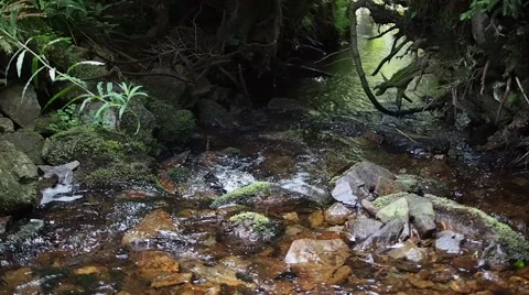 Stream flowing between rocks with authentic sound Stock Footage 52727235
