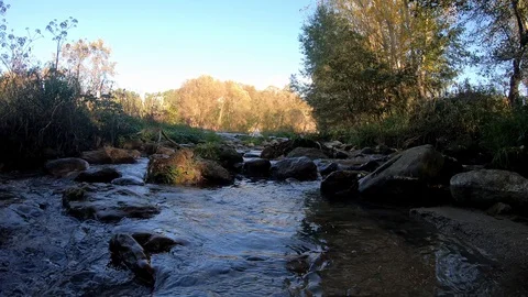 Stream Flowing Between Stones in Autumn Stock Footage 119490664