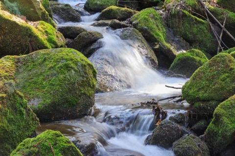 Stream flowing between the stones Stock Photos