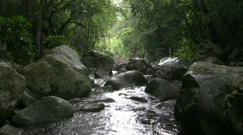 Stream flowing by boulders Stock Footage 863740