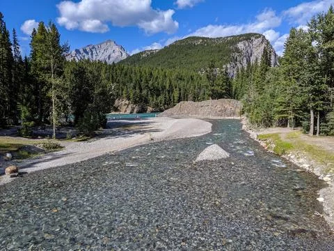Stream Flowing into the Bow River with Mountain Peaks &amp;amp; Pine Forest Stock Photos