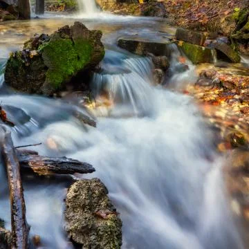 Stream flowing clean spring water. Photo taken in autumn in Russia. Stock-Fotos