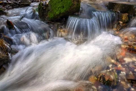 Stream flowing clean spring water. Photo taken in autumn in Russia. Stock Photos