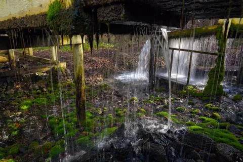 A stream of flowing clean spring water in an old mill. Photo taken in autumn  Stock Photos