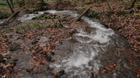 The stream flowing in the depths of the forest 스톡 동영상 43281239