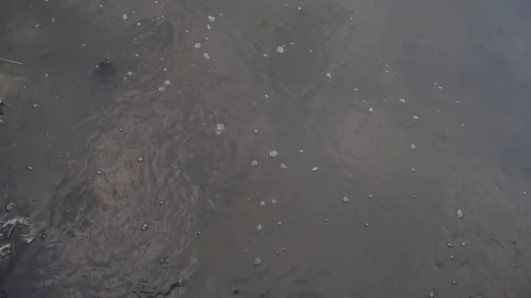 A stream flowing dirty water in Uganda Stock Footage 148921419
