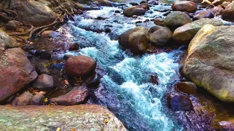 Stream Flowing Down Video stock 264459127