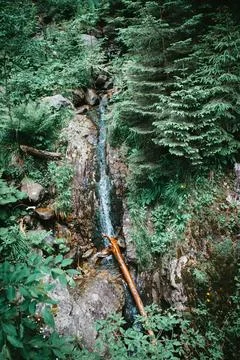 Stream flowing down from high mountains in polish Tatras Stock Photos
