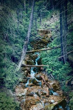 Stream flowing down from high mountains in polish Tatras Stock Photos