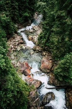 Stream flowing down from high mountains in polish Tatras Stock Photos