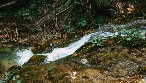 Stream flowing down from high mountains in polish Tatras Stock Photos