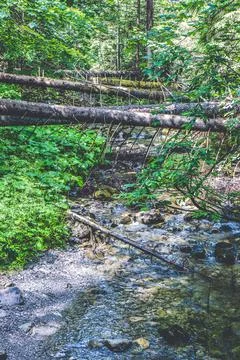 Stream flowing down from high mountains in polish Tatras Stock Photos