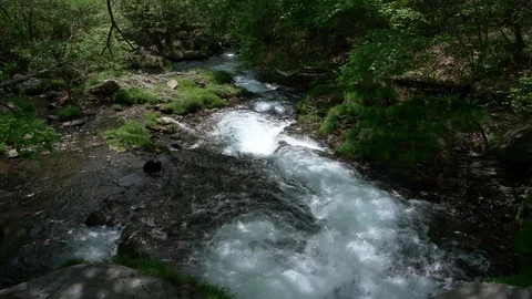 Stream Flowing Down the Mountain Stock Footage 102242745