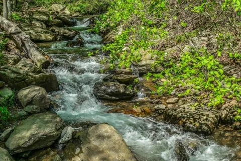 Stream flowing down the mountain Stock Photos