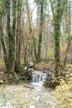 Stream flowing down the stones surrounded by trees in autumn Stock Photos
