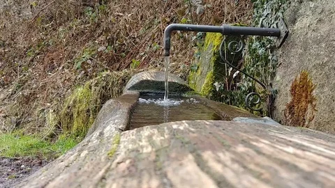 Stream flowing in a Drinking Trough Stock Footage 90277588