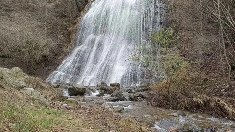 Stream flowing at the foot of a waterfall Vídeo Stock 267015141
