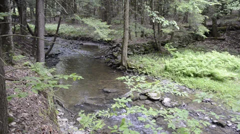 Stream flowing 스톡 동영상 24818706