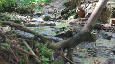 A stream flowing Stock Footage 246390482