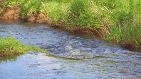 Stream flowing Stock-Footage 274737704