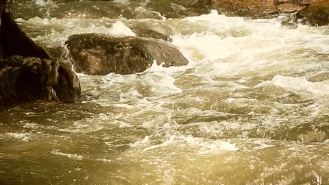 The stream flowing in the forest Stock Footage 112587371