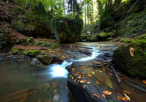 Stream flowing in the forest. Low shutter shot. Yellowed leaves. Stock Photos