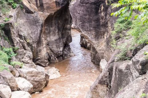 Stream flowing in forest. Stock Photos