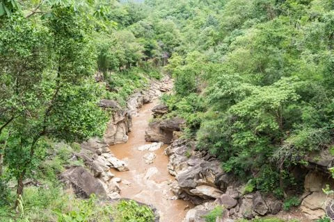 Stream flowing in forest. Stock Photos