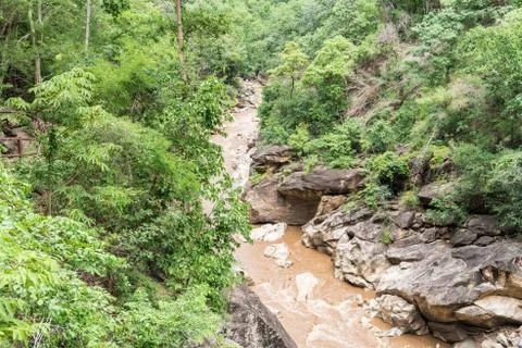 Stream flowing in forest. 写真素材