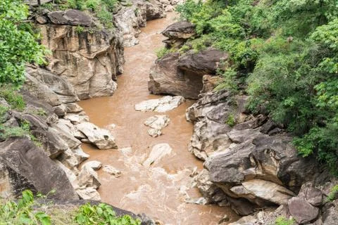 Stream flowing in forest. Stock Photos