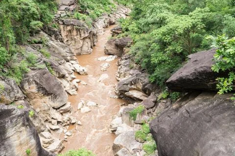 Stream flowing in forest. Stock Photos