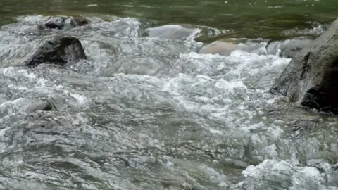 Stream flowing with green grass Stock Footage 306761420