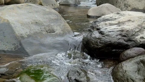 Stream flowing with green grass Video stock 306761528
