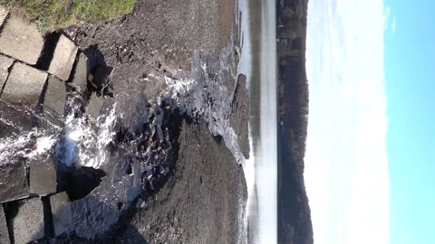 Stream flowing into the lake from the forest Stock Footage 230233297