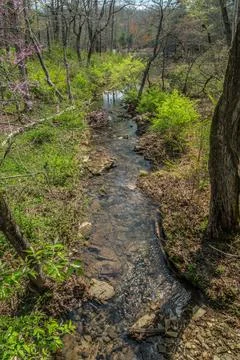 Stream flowing into a lake Stock Photos