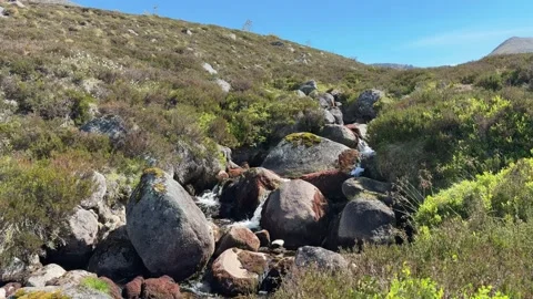 Stream flowing from mountain peak through heather and boulders Stock Footage 319664774